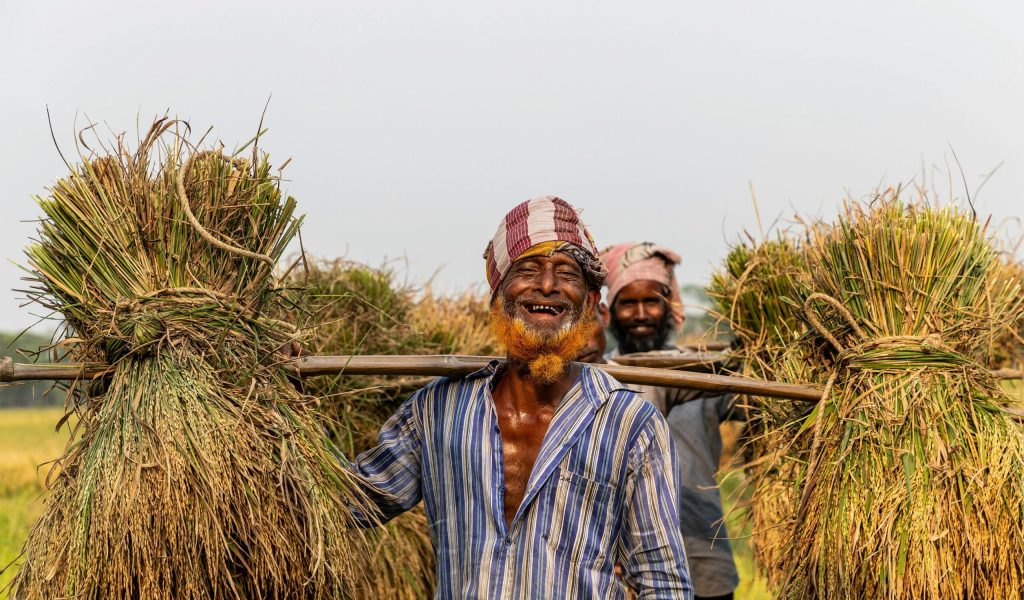 Bangladesh farmer